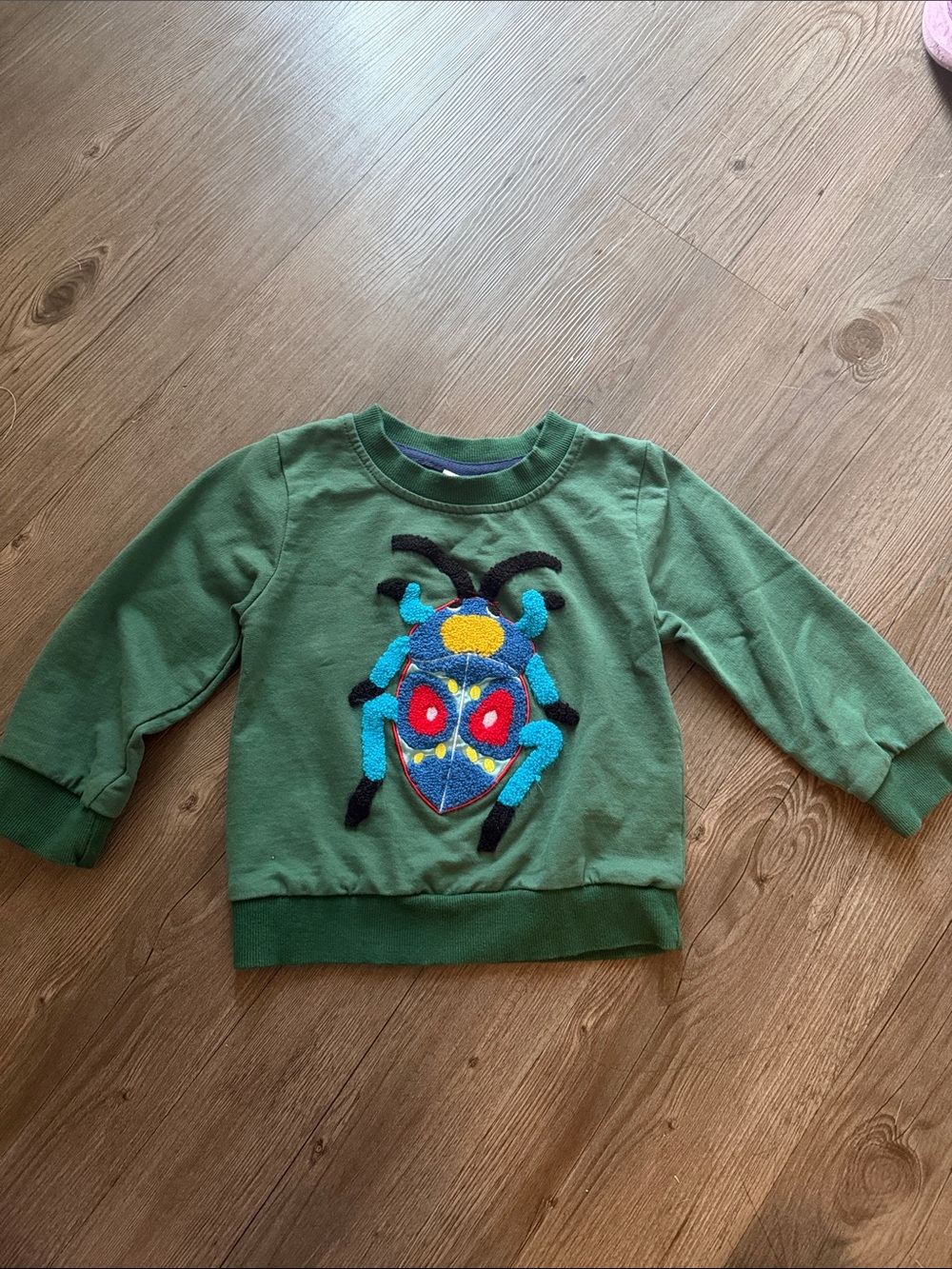 Green Kids Sweatshirt with Colorful Bug Appliqué